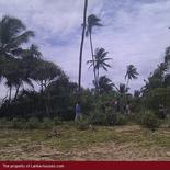 Land in Rekava beach.