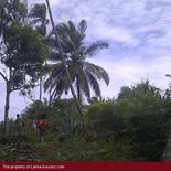 Land in Rekava beach.