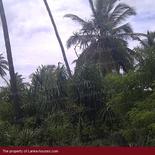Land in Rekava beach.