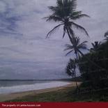 Land in Rekava beach.