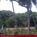 Land in Rekava beach.