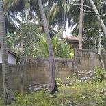 Land in Rekava beach.
