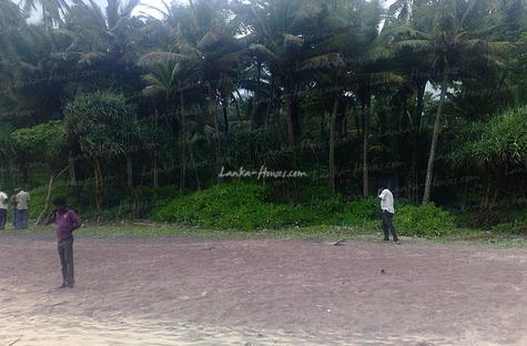 Private beach land in Ahangama. 25 perch.