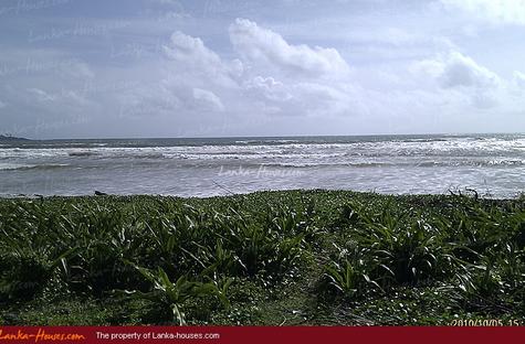 Beach land with old house.