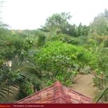 IBIS Guesthouse