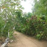 IBIS Guesthouse