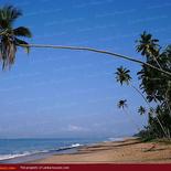 KOSGODA BEACH Hotel ****