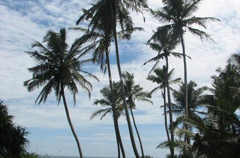 Beach land in Narigama, Hikkaduwa.