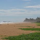 Beach land in Narigama, Hikkaduwa.