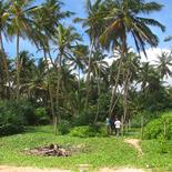 Beach land in Narigama, Hikkaduwa.
