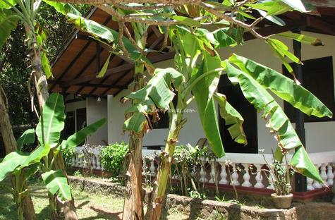 GILAGIRI House GILAGIRI House
