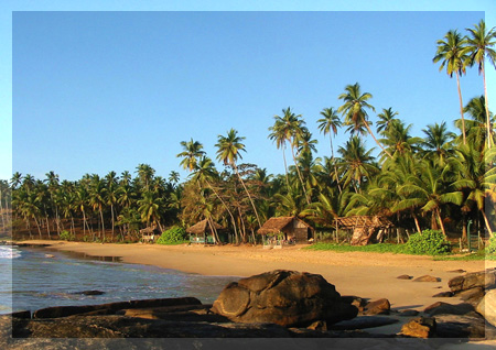 Tangalle. Wild beach