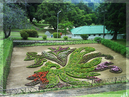 Ботанический Сад Хакгала, Hakgala Botanical Garden