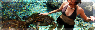 Swimming with turtles in Hikkaduwa