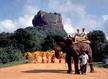 Tourist arrivals on the rise 